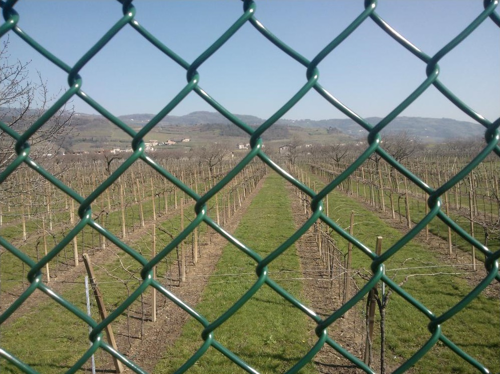 Recinzione Terreno Agricolo